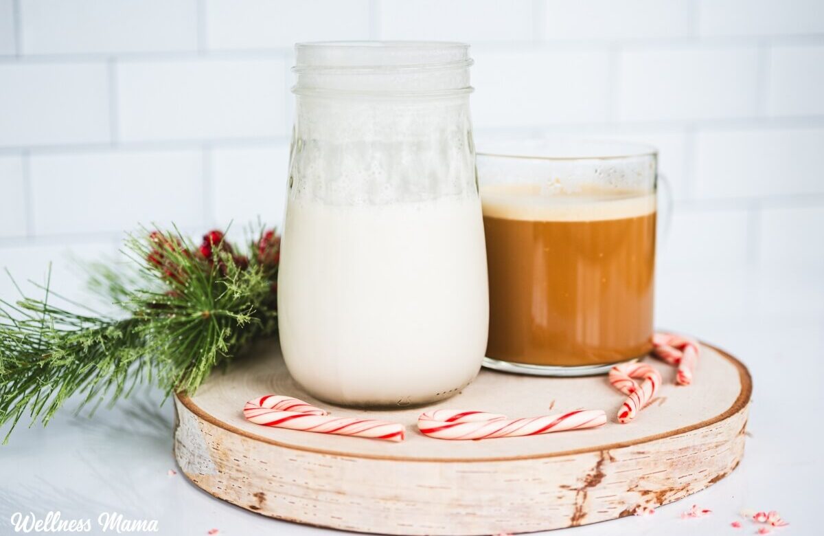 Homemade Peppermint Mocha Creamer (Dairy-Free)